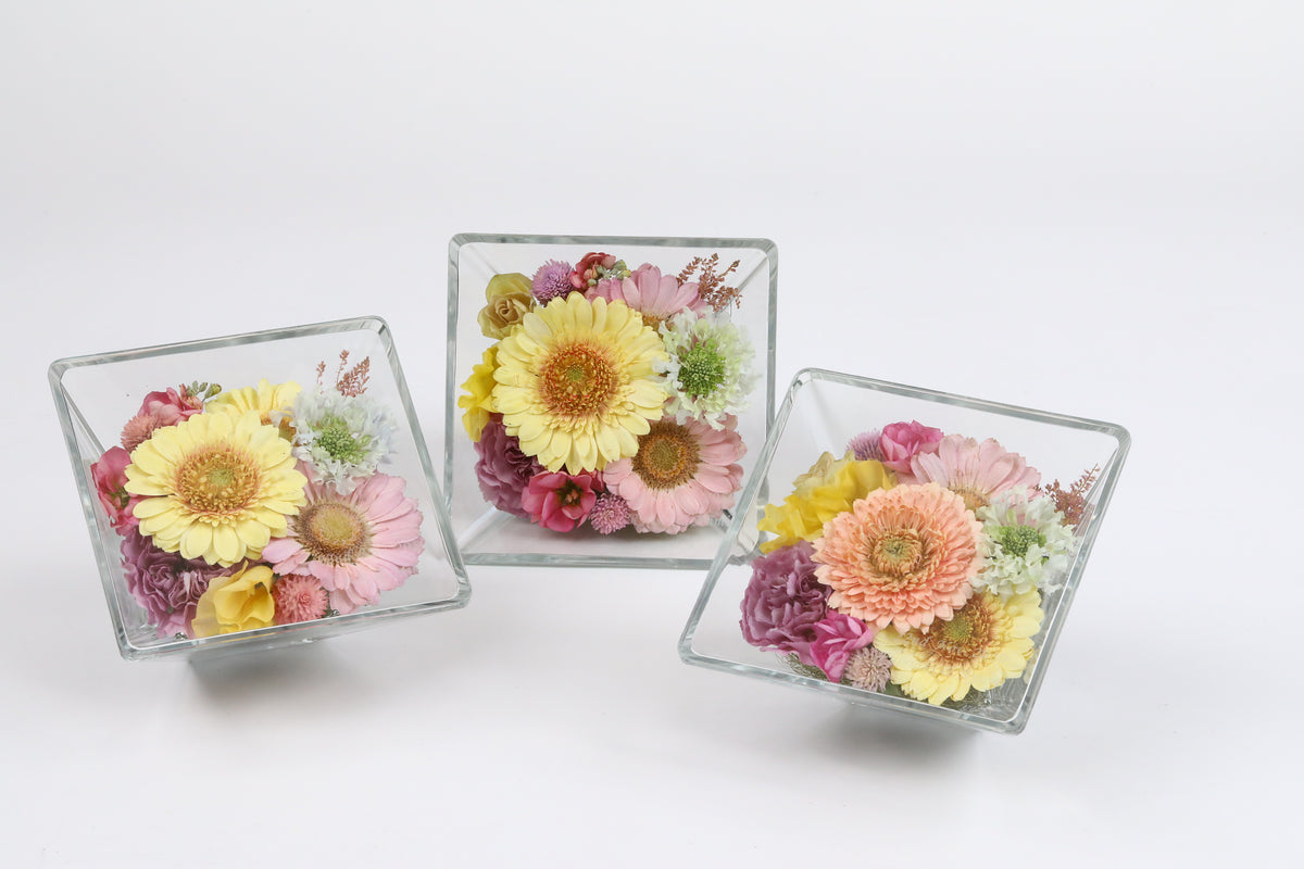 JEWEL ROSE / Sサイズ